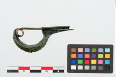 Foto von Bronzesanguisugafibel (NHMW-PRAE-025070)